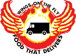 wings on fly